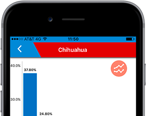 Una Encuesta Para Los Estados