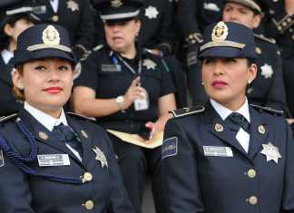 La Fuerza Civil De AMLO