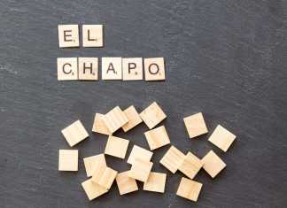 El Chapo, el Estado y el crimen organizado