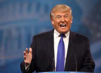 Un ejemplo de la importancia de los contrapesos