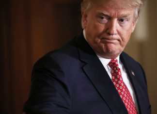 El primer año del cavernícola