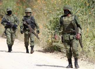 Las Nuevas Cifras De La Guerra Del Narco