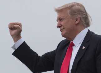 México Y La Enchilada De Trump