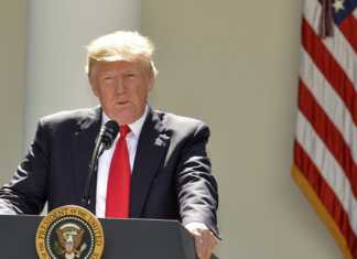 Los Detenidos Y Deportados De Trump