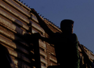 La verdad sí importa (Para entender el trumpismo)