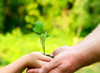 Generosos e Interesados