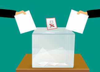 Sí A Las Consultas Populares