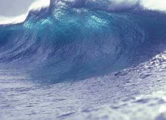 2018: El Tsunami Artificial