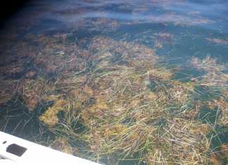 ¿Cuál es el problema?