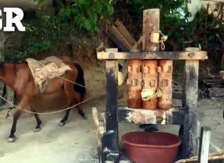 ¿Esto es progreso? AMLO, el trapiche y el tlacoyo