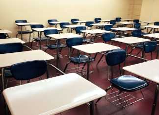 La reforma educativa de la CNTE manda al diablo las instituciones