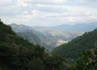 La gallina de los huevos de oro