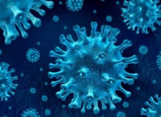 Tu puedes ser parte para recuperar los recuerdos, la belleza y los beneficios del Bosque de Chapultepec. Entrevista con Sharon Fastlich