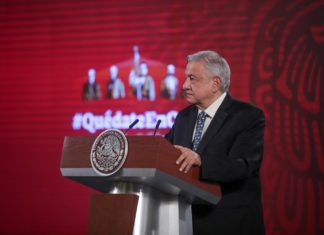 Testarudez y profesionalismo