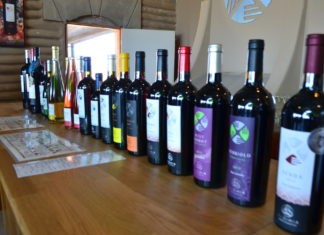 Buscan fortalecer sector vinícola durante la contingencia