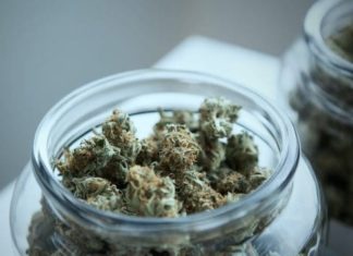 Regular el cannabis salvaría a México de la crisis