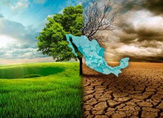 México se inclina por el combustible fósil dejando de lado la energía renovable