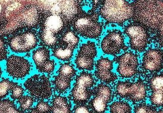 Festival «El Aleph» de la UNAM edición 2020. Una reflexión sobre la pandemia de COVID-19