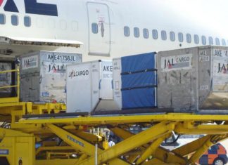 Así se manifiesta la caída de carga en aeropuertos de México por COVID-19