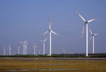 Energía limpia, beneficios verdes para las empresas