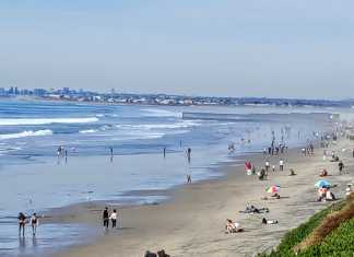 Falta de coordinación en turismo genera desconfianza: WTTC