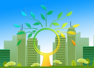 Acciones Sostenibles: ¿Qué innovaciones tecnológicas van transformar positivamente el medio ambiente y la humanidad?