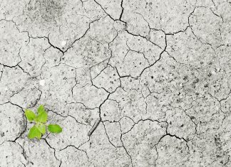 Davos 2021: Covid, Clima y Cooperación