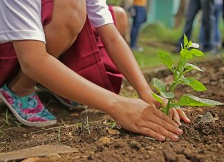 ¿Qué avances vemos en América Latina en ciudades y gobiernos para un camino más verde?