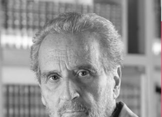 La mirada de Vicente Rojo