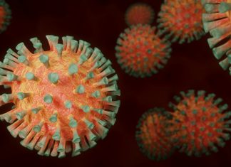 Coronavirus: 4 cosas que aún no sabemos a un año de la pandemia