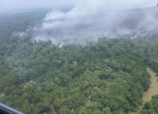 35 mil hectáreas afectadas por 96 incendios activos en el país