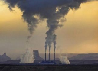 América Latina y el Caribe deben implementar más impuestos verdes: OCDE
