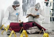 Organismos internacionales lanzan identificacionhumana.mx