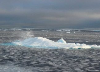 “El calentamiento global es irreversible”, asegura científico alemán
