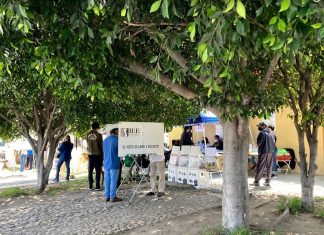 Baja California, Durango y Guanajuato, los estados con más abstencionismo; voto nulo le ‘ganó’ a cuatro partidos, según datos del PREP