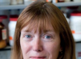 Acciones Sostenibles: Honor a quien honor merece en la pandemia……