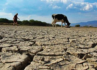 La catástrofe mundial que viene: qué pasará si la temperatura aumenta 3 grados