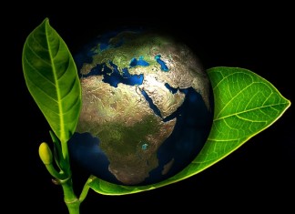 Economía climática: la nueva norma del comercio global: Darinel Herrera