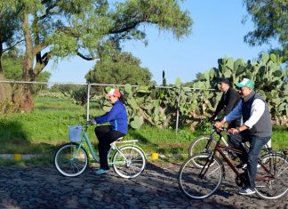 Caída del 23.3% del turismo en México