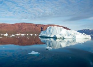 Acciones Sostenibles: Climate Reality Project: Metas Climáticas por sector y los “ODS”