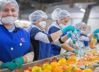 Aumentaron las exportaciones agroalimentarias mexicanas a EE.UU. durante el primer semestre del presente año