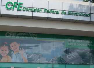 Los costos de la reforma eléctrica