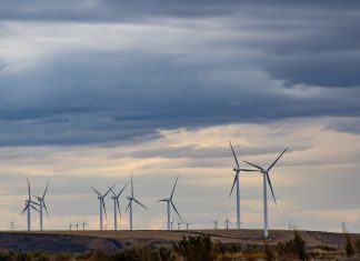 Acciones Sostenibles: Contradicciones ambientales y energéticas en México