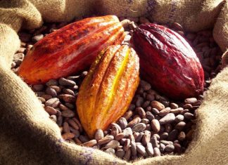 Analizan la percepción del comercio entre Ecuador y México