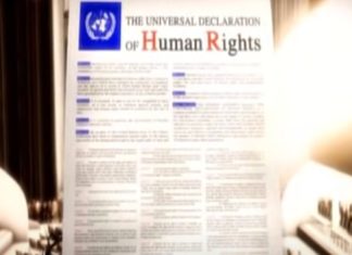 ¿Por qué se celebra el día de los derechos humanos?