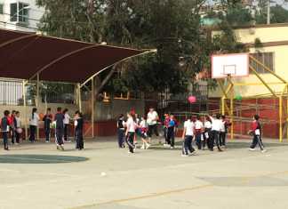 Cierre de escuelas causó pérdidas casi «irreversibles» en educación: Unicef