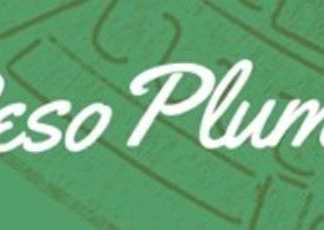 peso pluma, logo