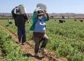 Compensación para mujeres trabajadoras por su doble jornada laboral
