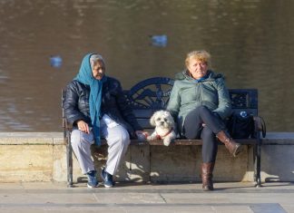 Animales, los mejores compañeros para adultos mayores