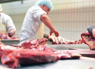 En 5 años las exportaciones cárnicas de res desde México se han alzado por el orden del 62%